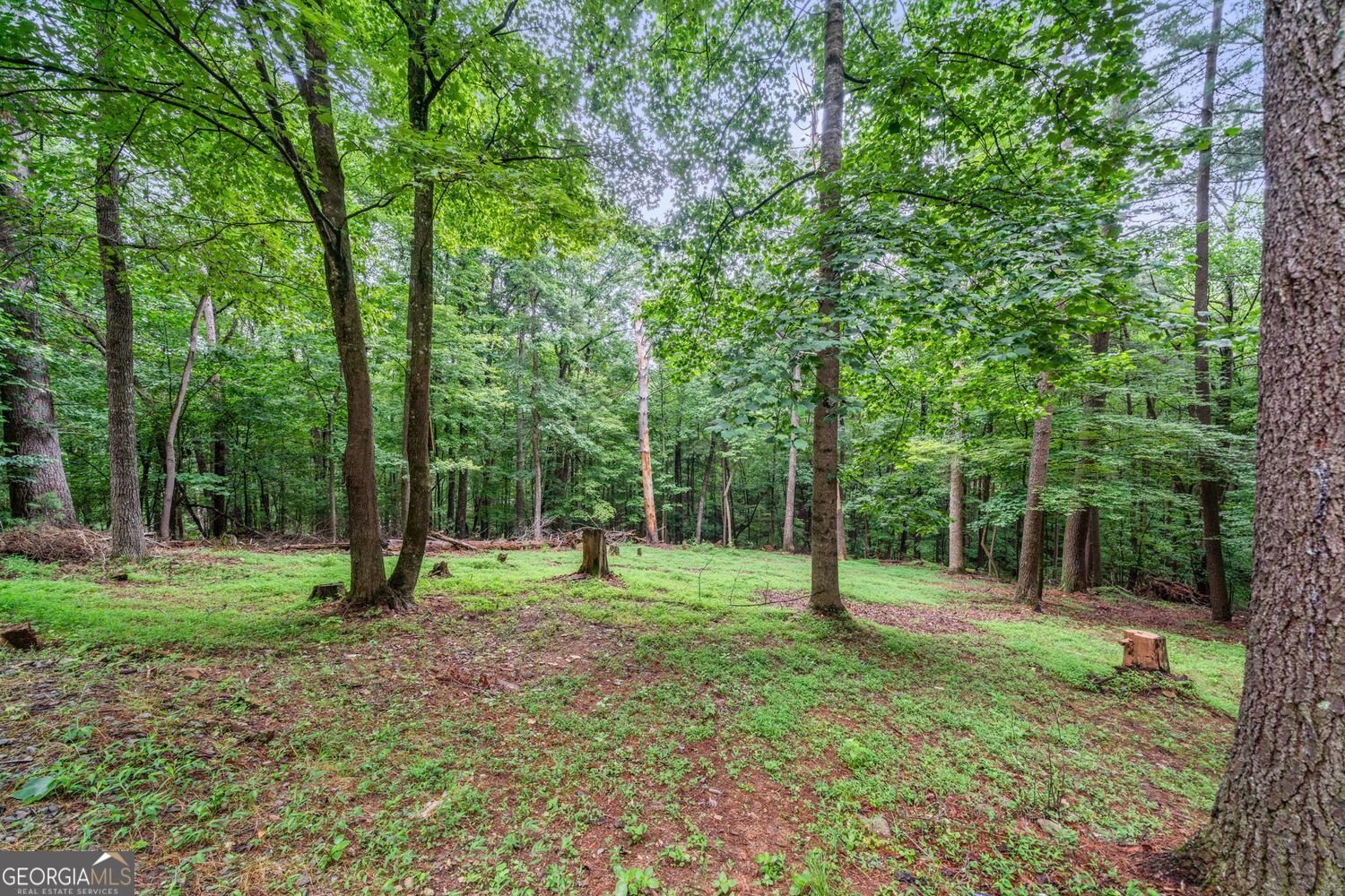 168 Ridgecrest Circle Ellijay - 1