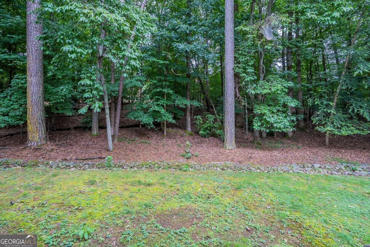 4270 Laurel Grove Trace Suwanee - 25