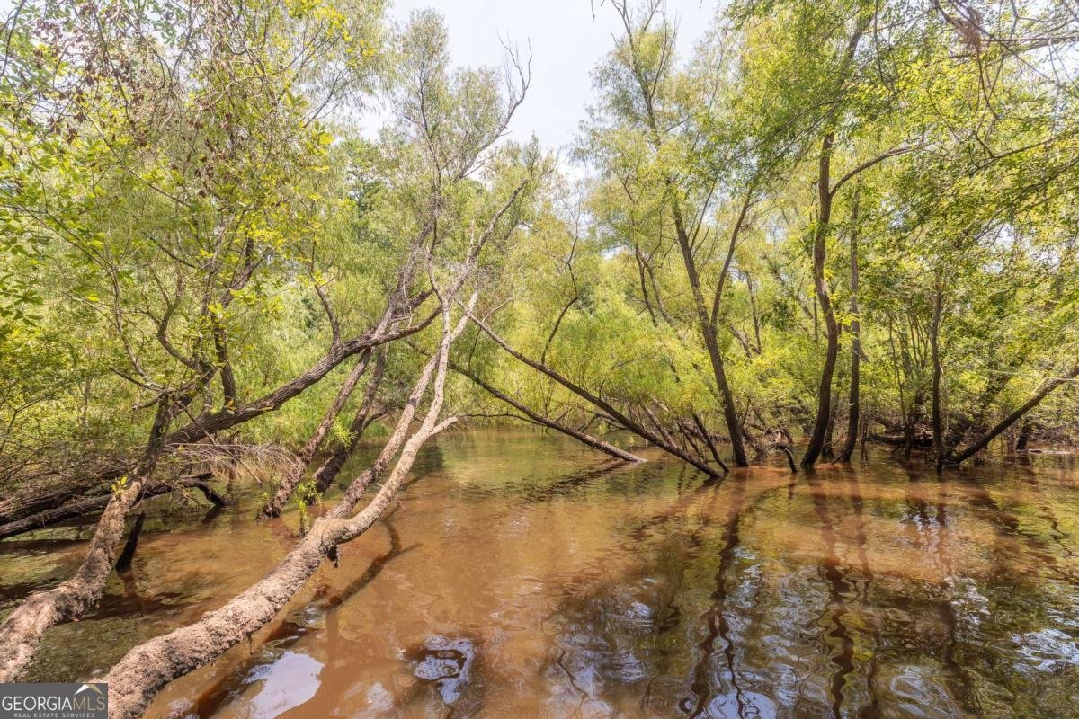 1656 T O Jones Road Reidsville - 9