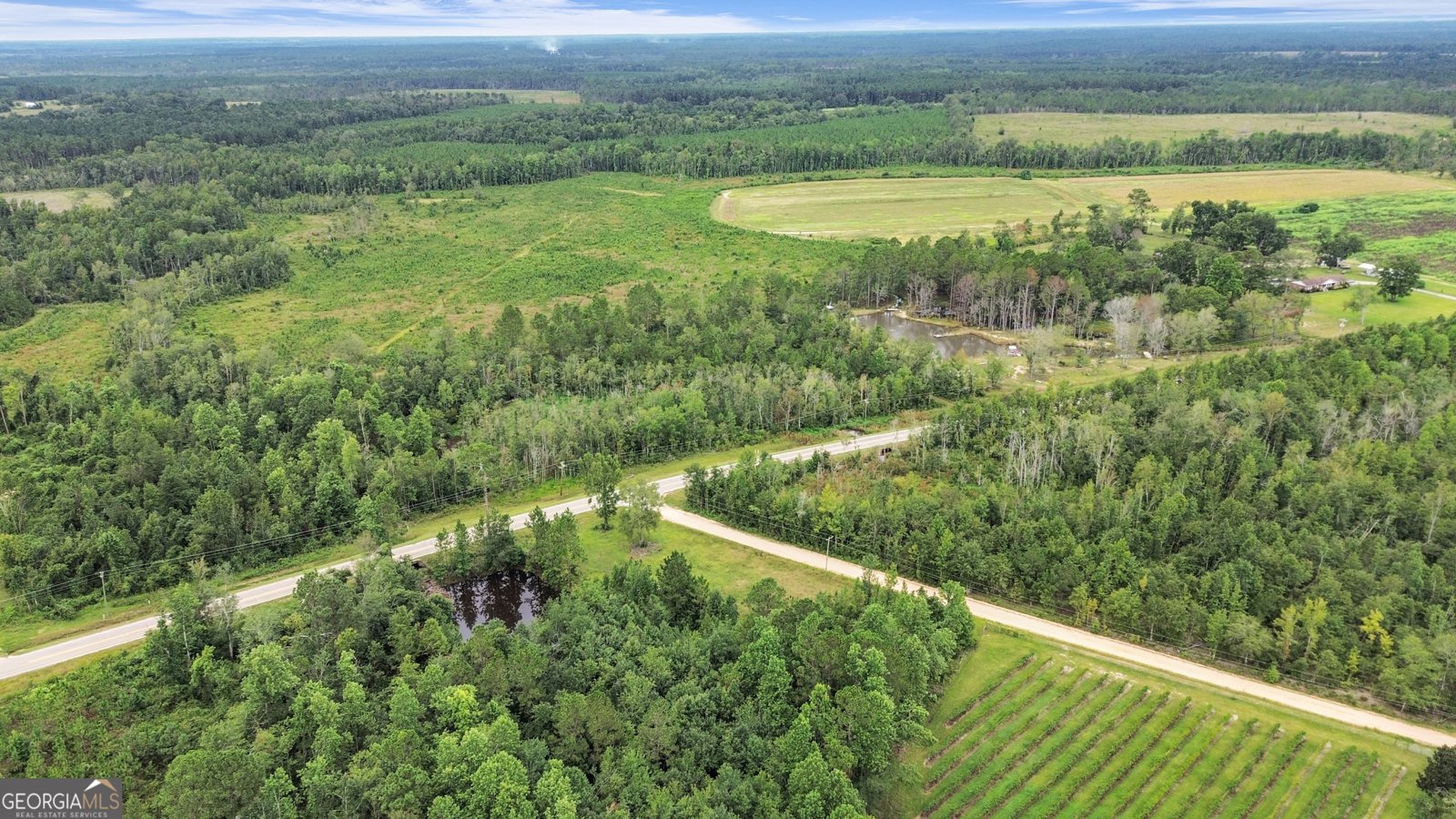 14936 GA Highway 86 Soperton - 33