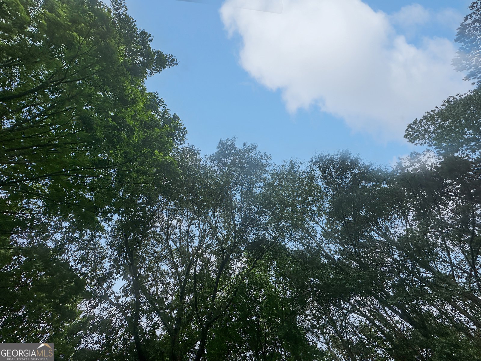 715 Frog Road Locust Grove - 59