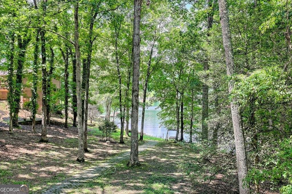 993 Lakeside Drive Blairsville - 2