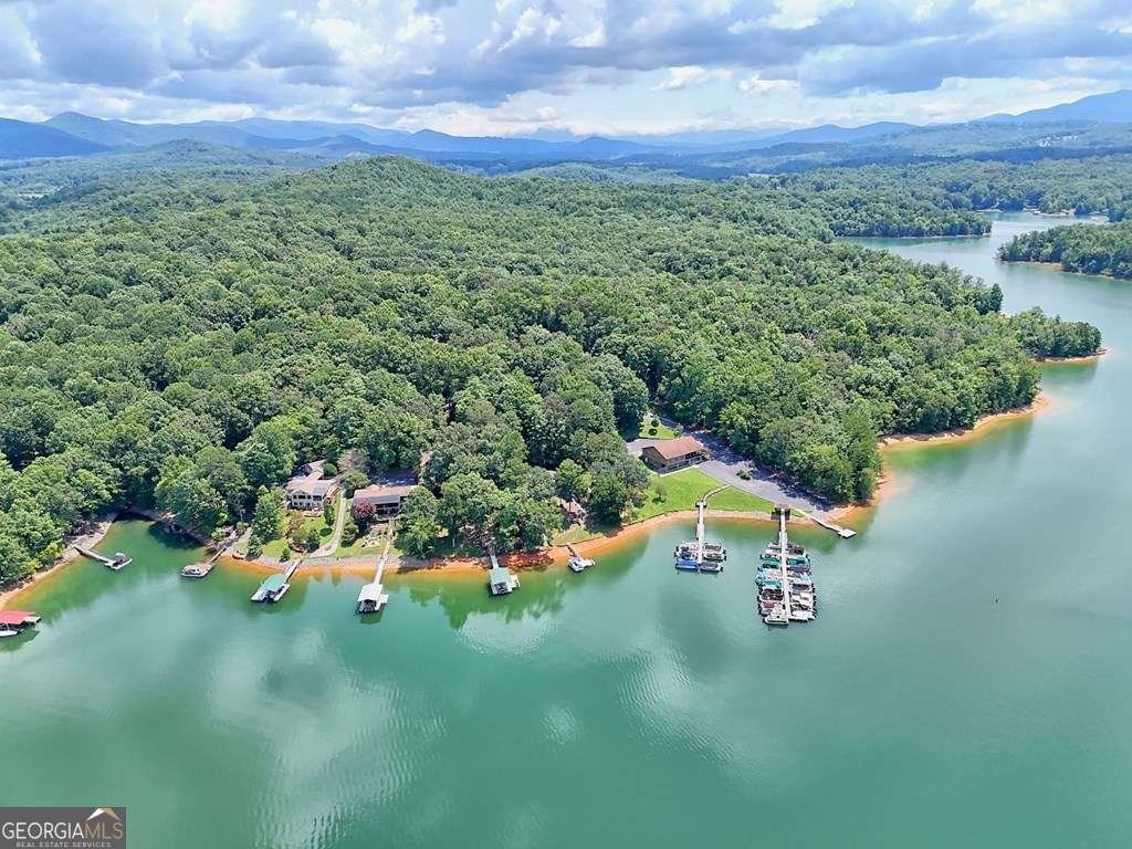 993 Lakeside Drive Blairsville - 9