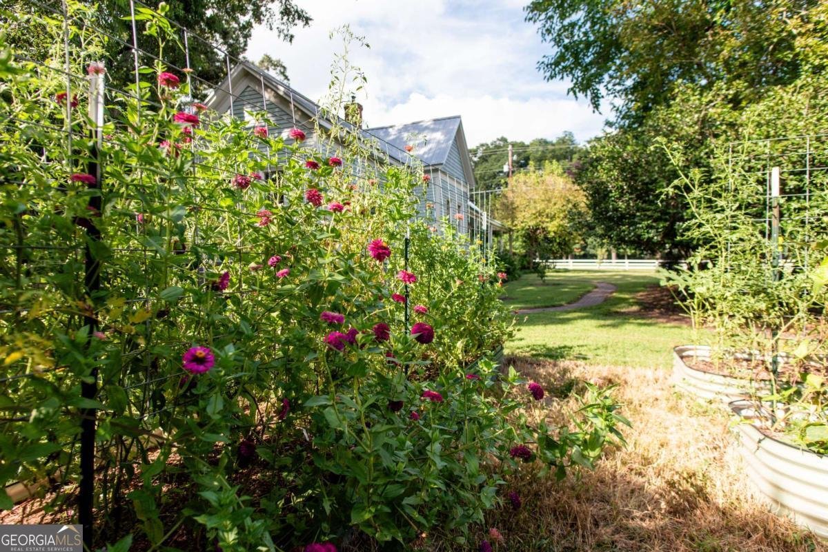 174 Main Street Winterville - 61