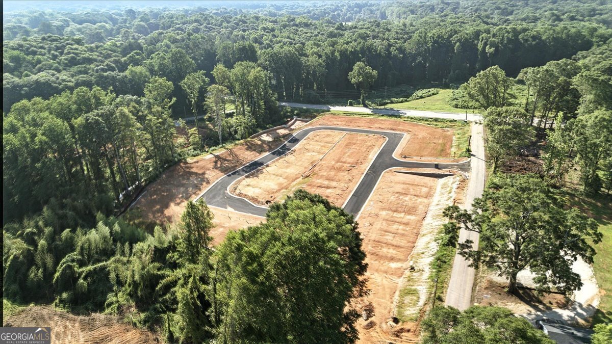 45 Wright Street Lavonia - 52