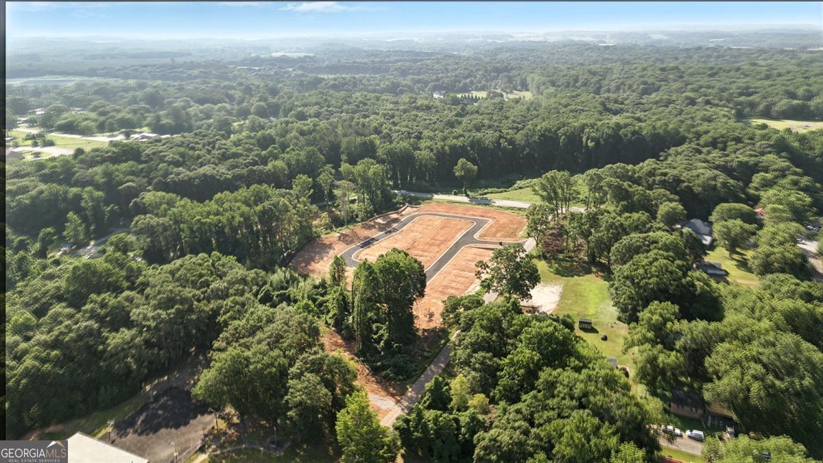 45 Wright Street Lavonia - 58