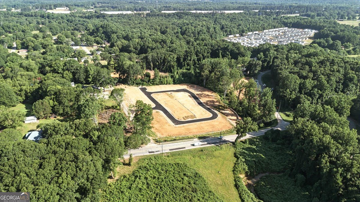 49 Wright Street Lavonia - 54