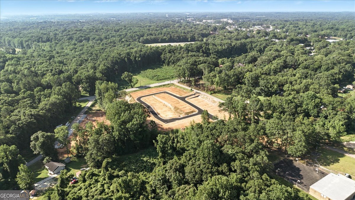 55 Wright Street Lavonia - 37