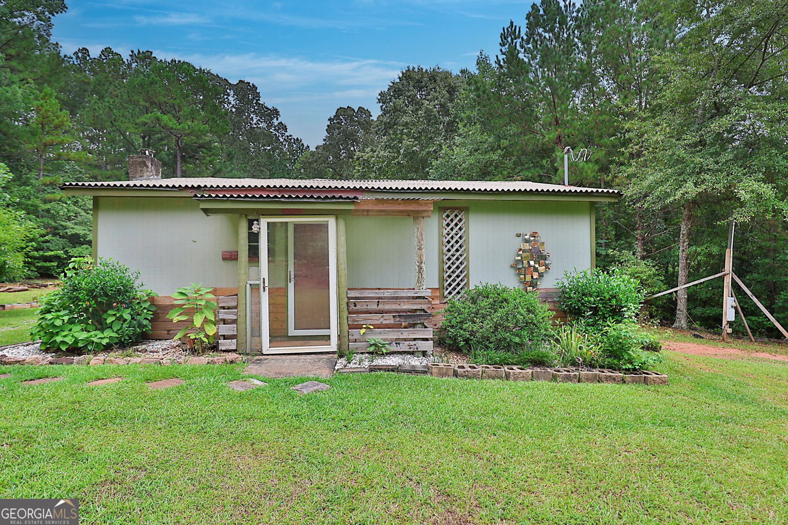 25 Elizabeth Drive Senoia - 1