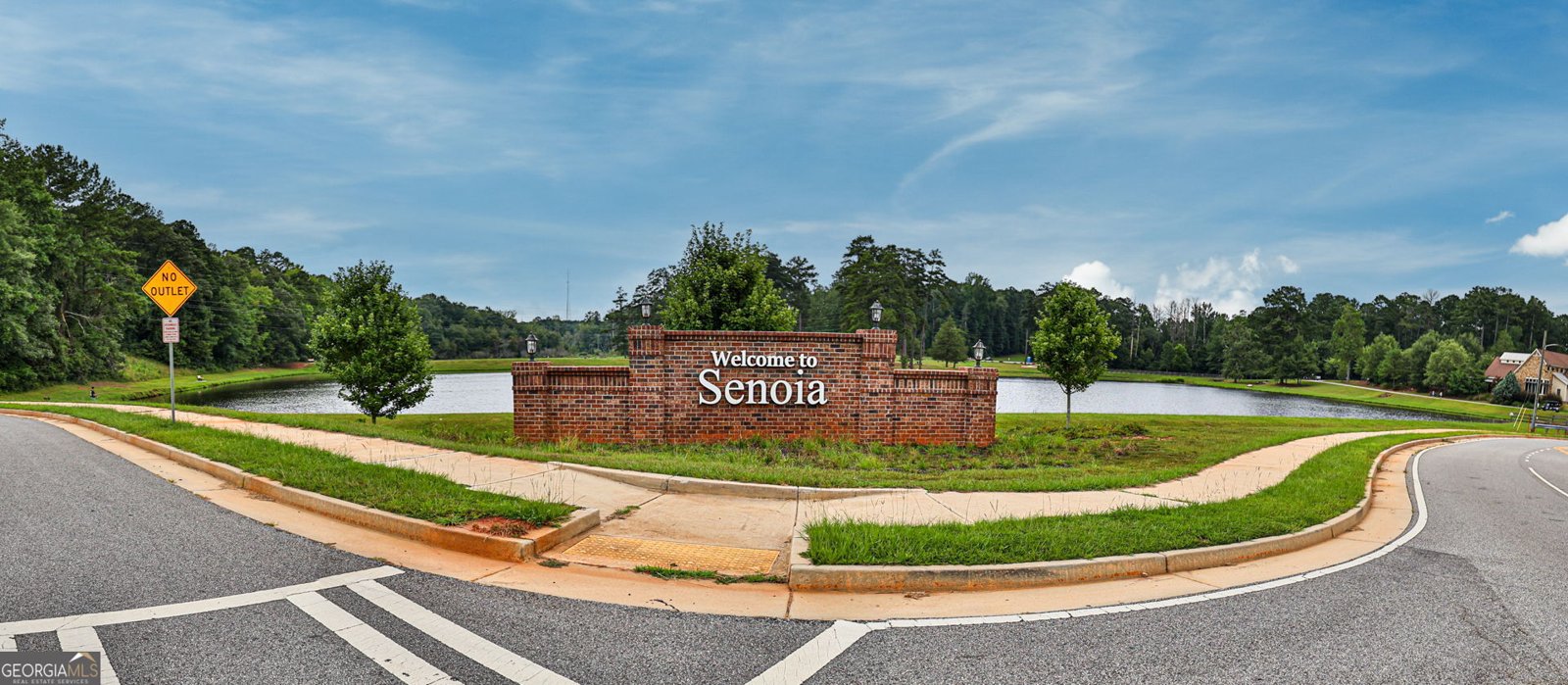 25 Elizabeth Drive Senoia - 19
