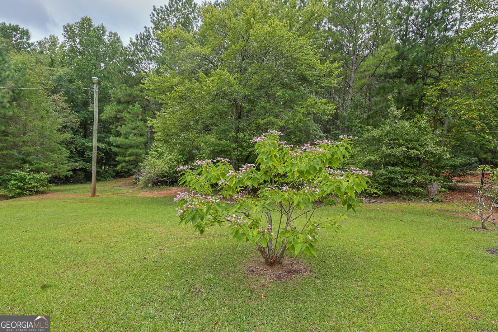 25 Elizabeth Drive Senoia - 20