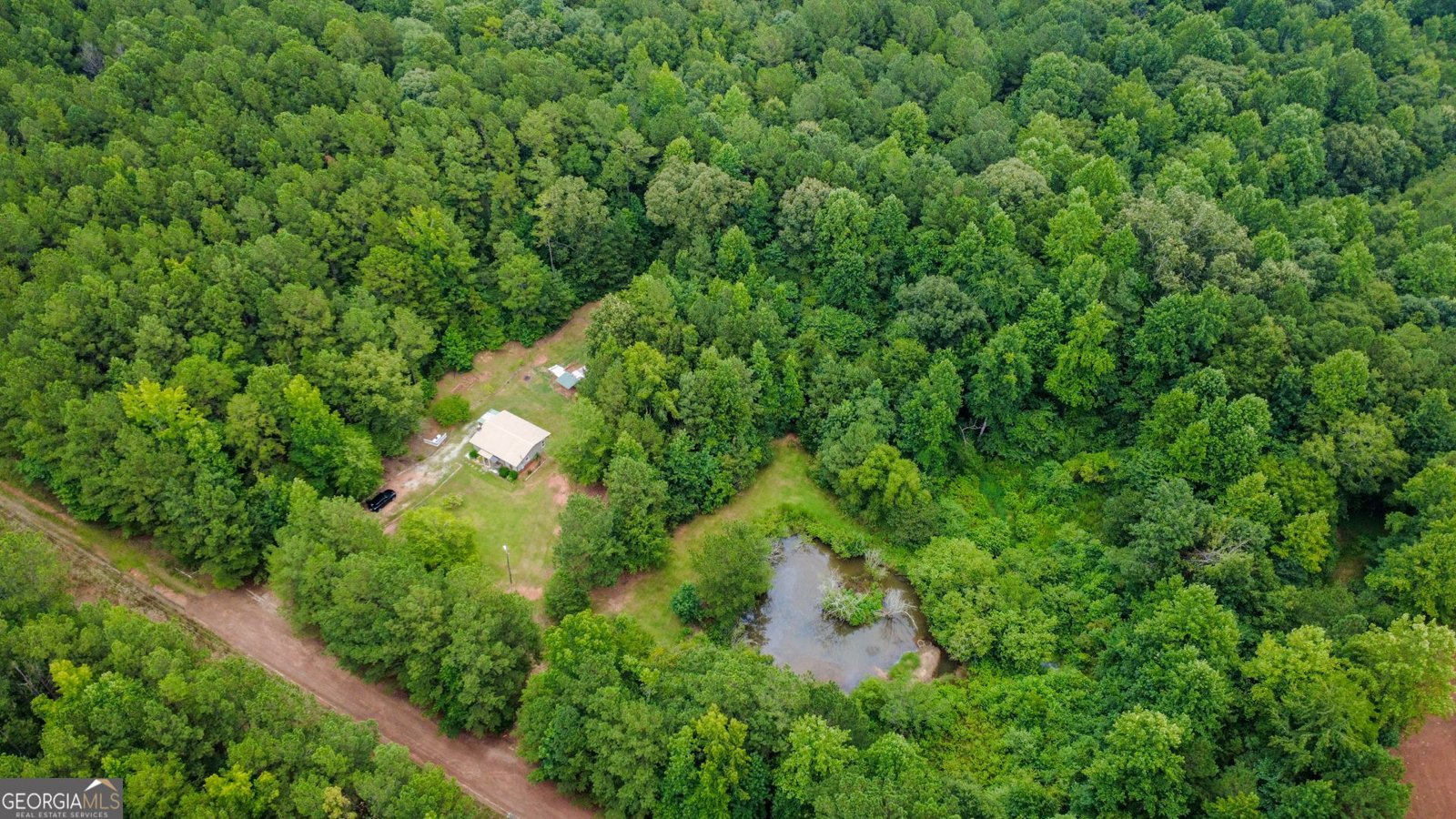 25 Elizabeth Drive Senoia - 22