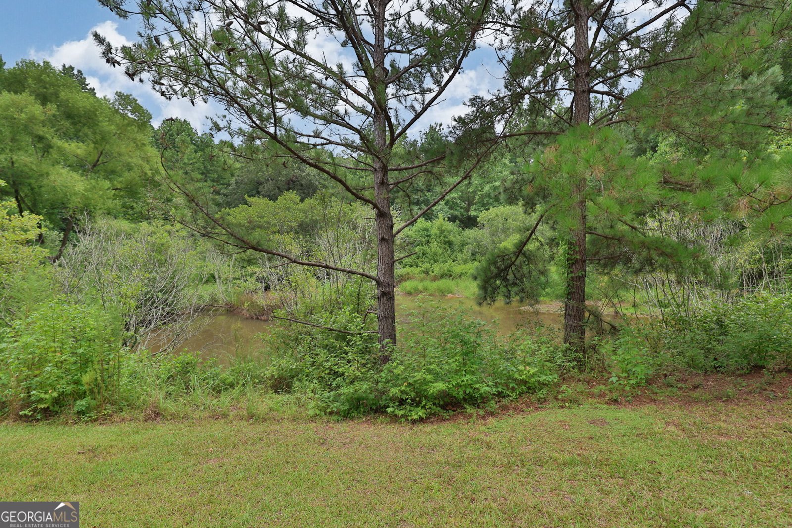25 Elizabeth Drive Senoia - 33