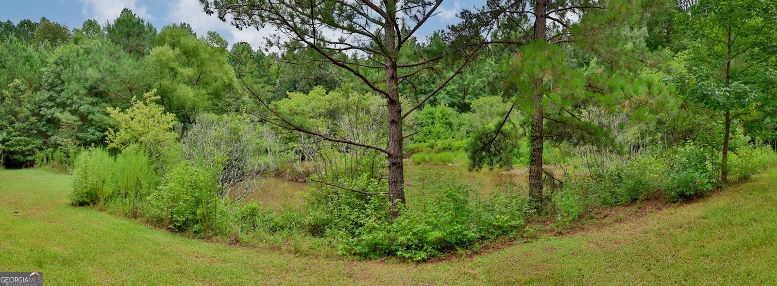 25 Elizabeth Drive Senoia - 34