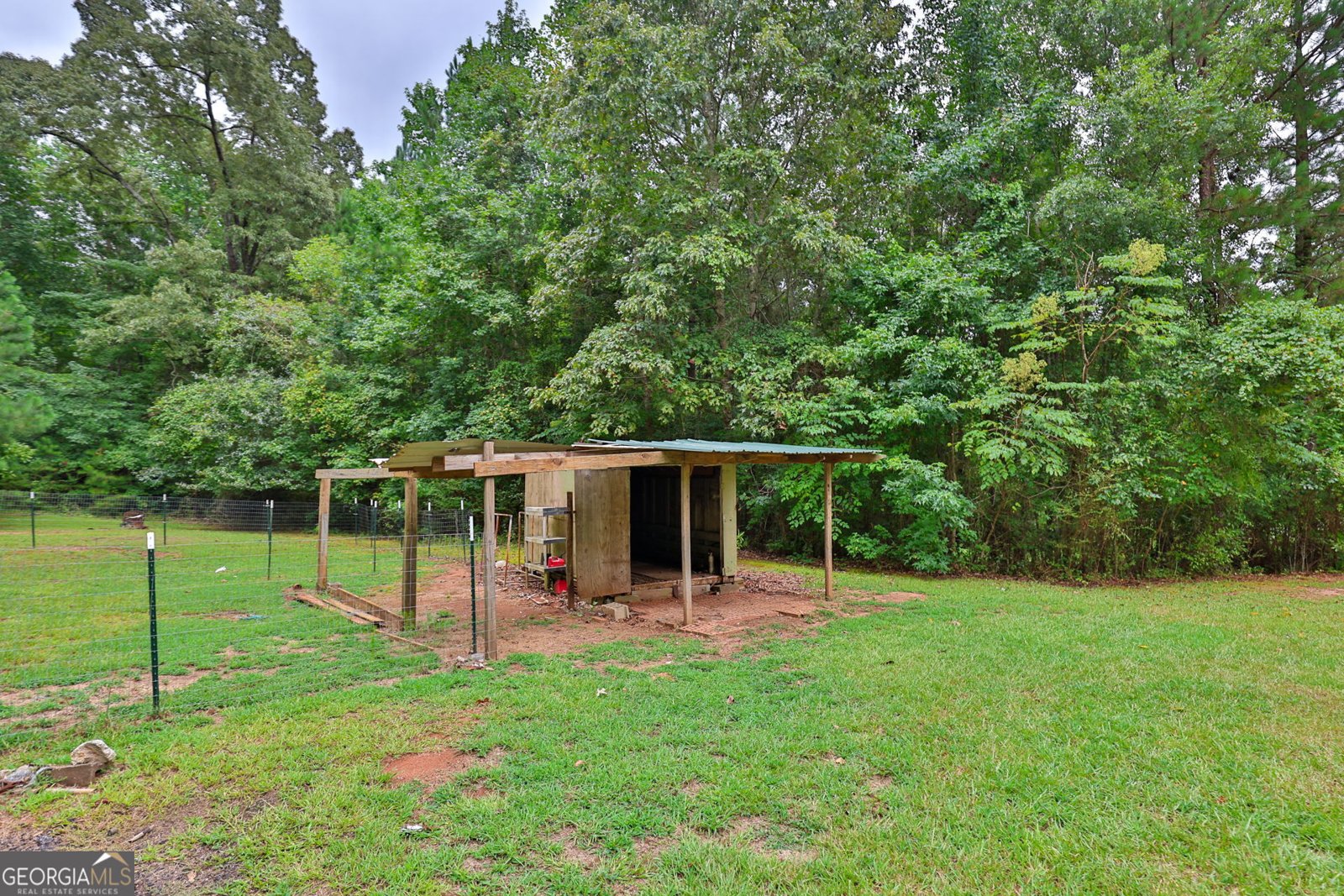 25 Elizabeth Drive Senoia - 37