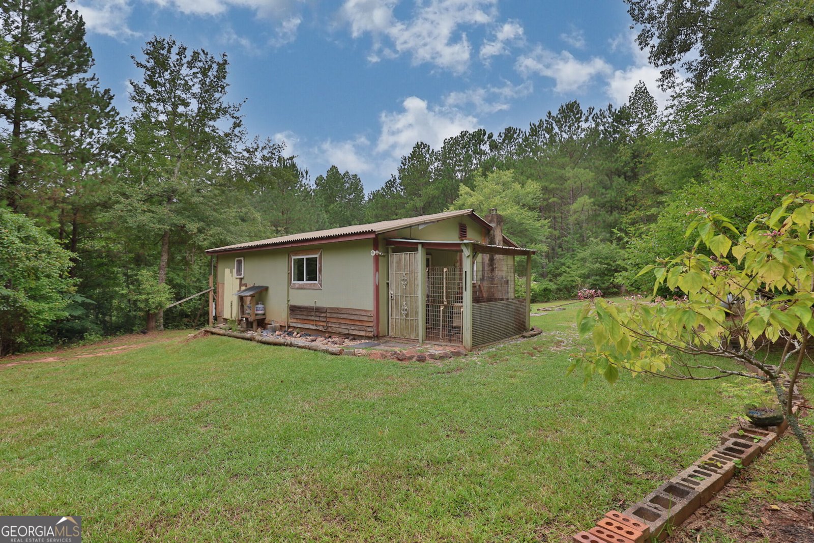 25 Elizabeth Drive Senoia - 4