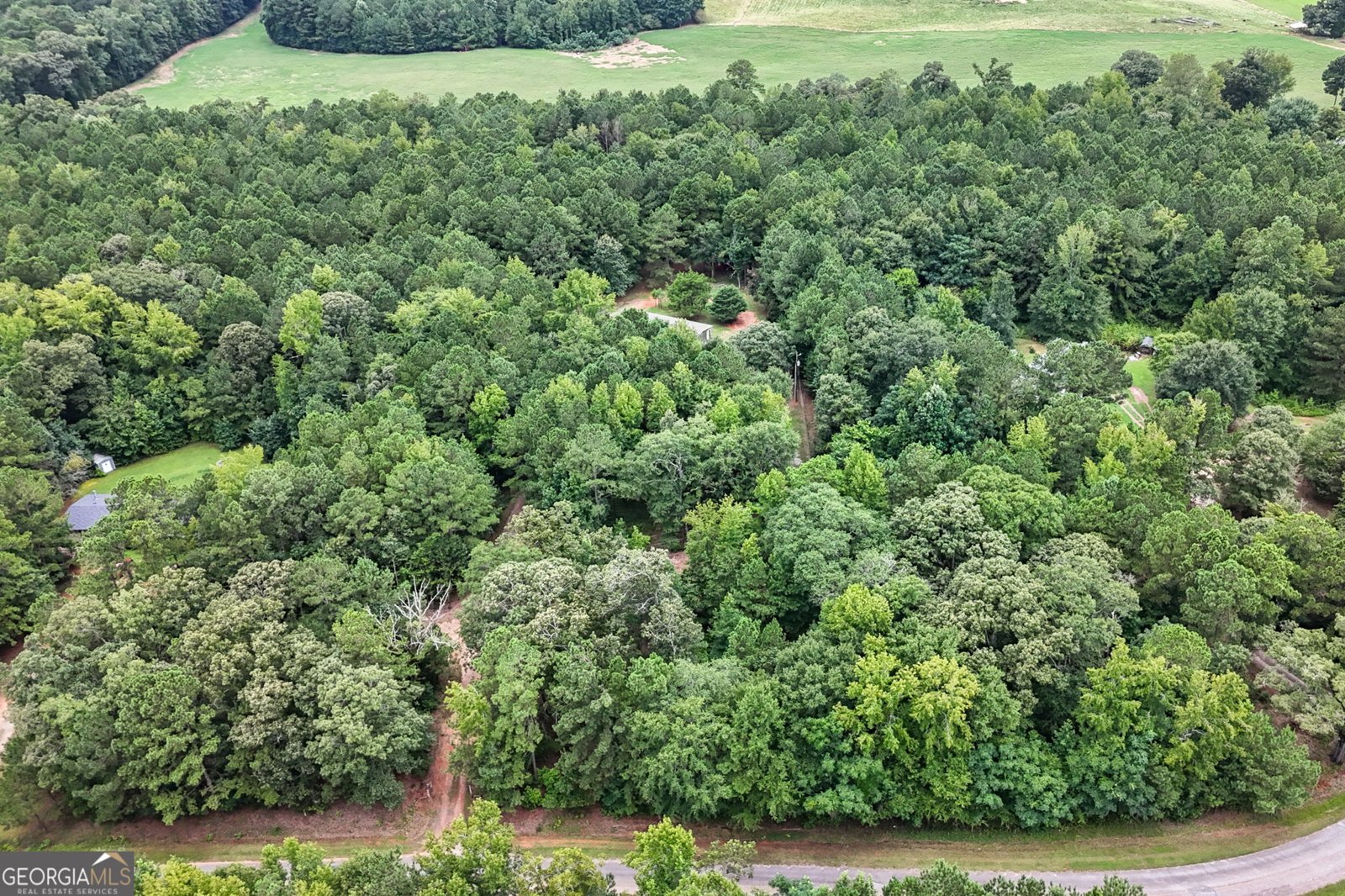 83 Old Indian Springs Road Forsyth - 36
