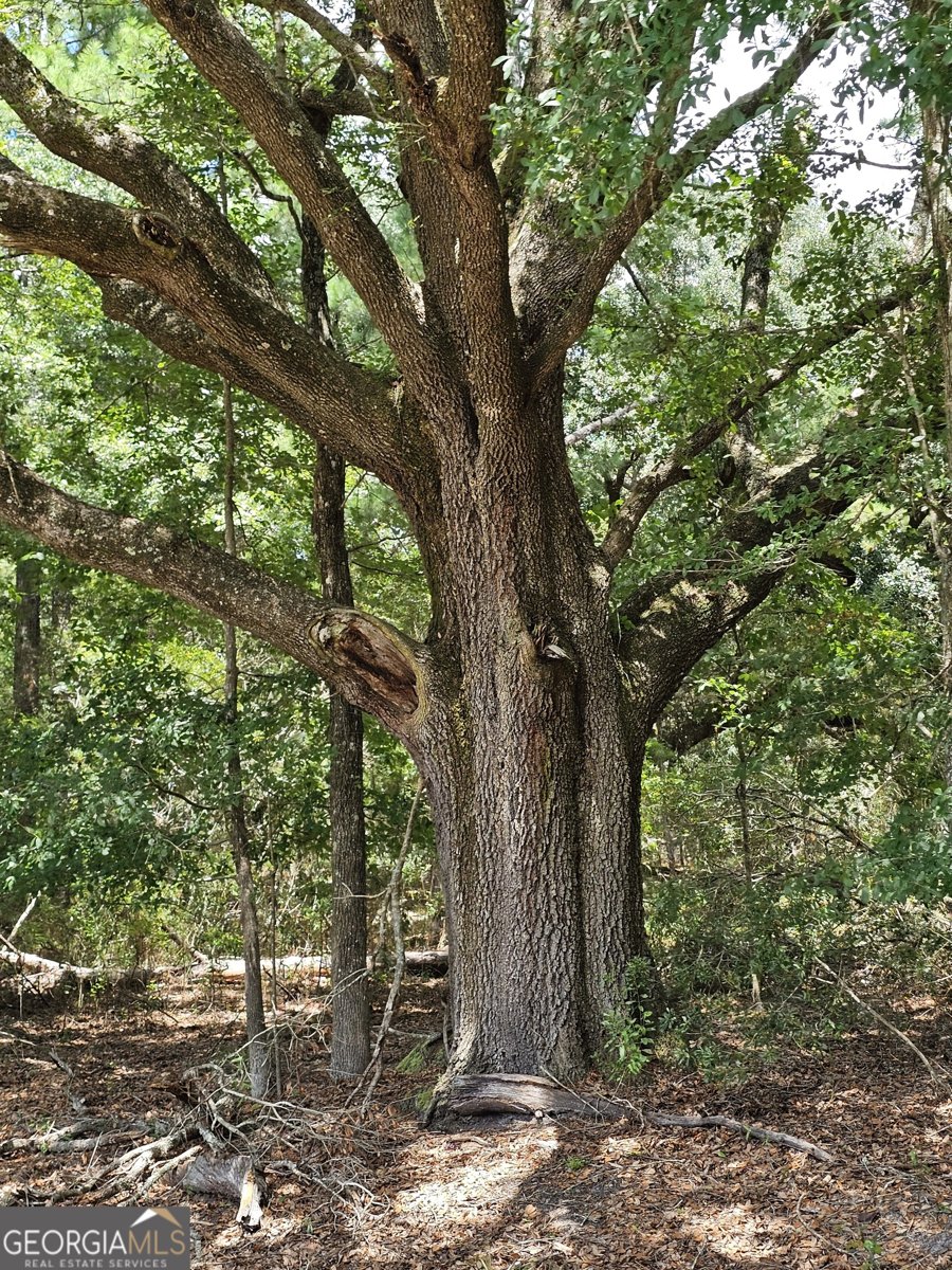 3047 John Burch Road Folkston - 12