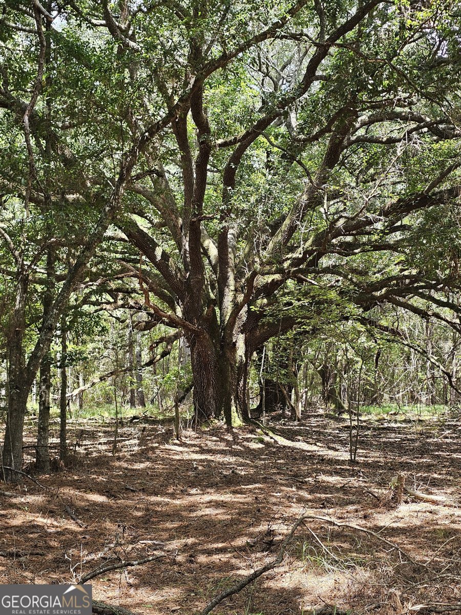 3047 John Burch Road Folkston - 13