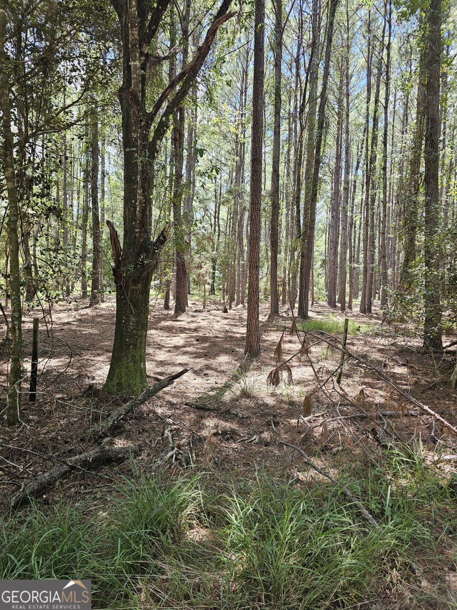 3047 John Burch Road Folkston - 14