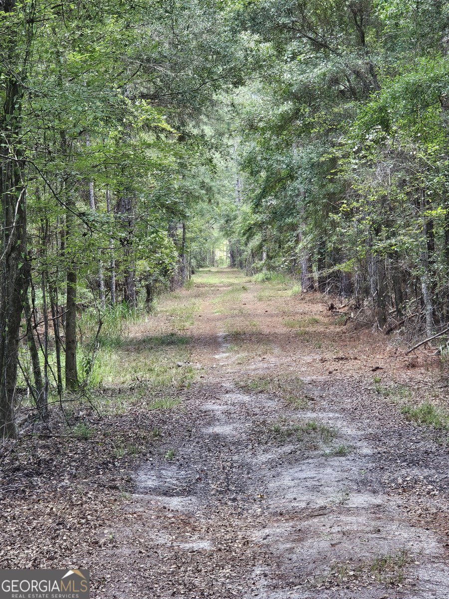 3047 John Burch Road Folkston - 15