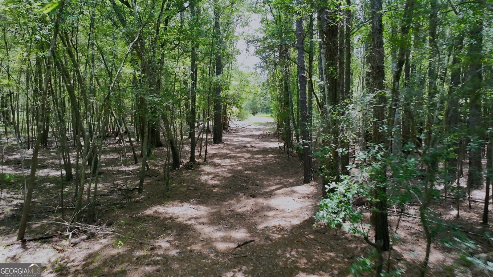 3047 John Burch Road Folkston - 4