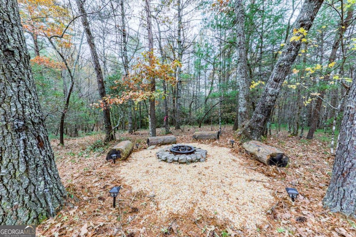 245 Weeks Creek Road Blue Ridge - 28