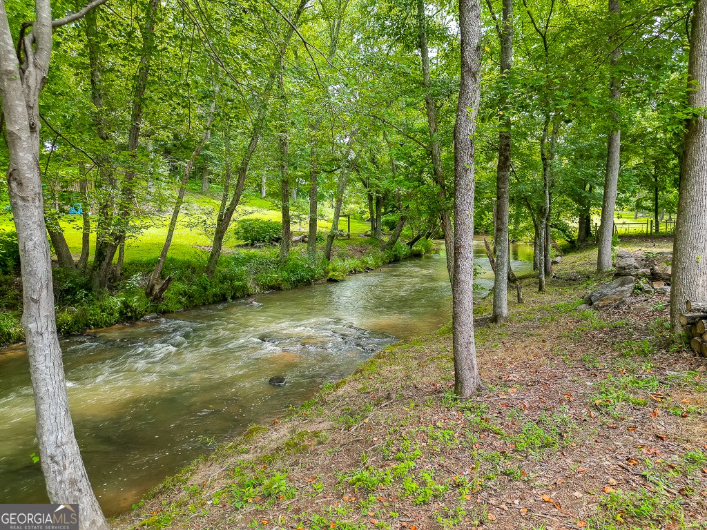 5070 Shade Creek Crossing Cumming - 61