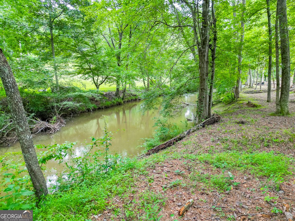 5065 Shade Creek Crossing Cumming - 57