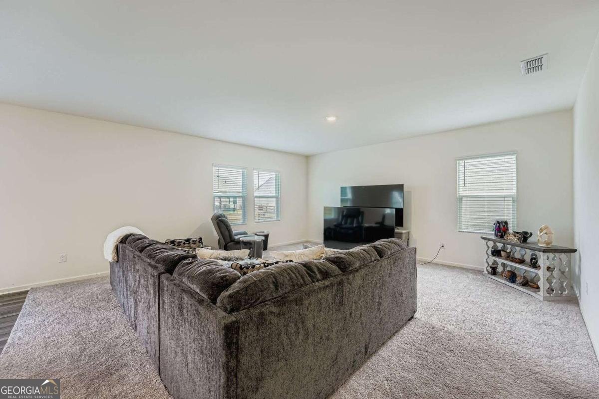 250 Cotton Tail Lane Villa Rica - 11