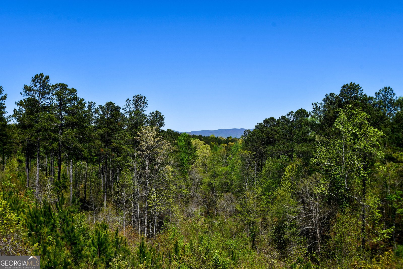74 Station Gap Dahlonega - 5