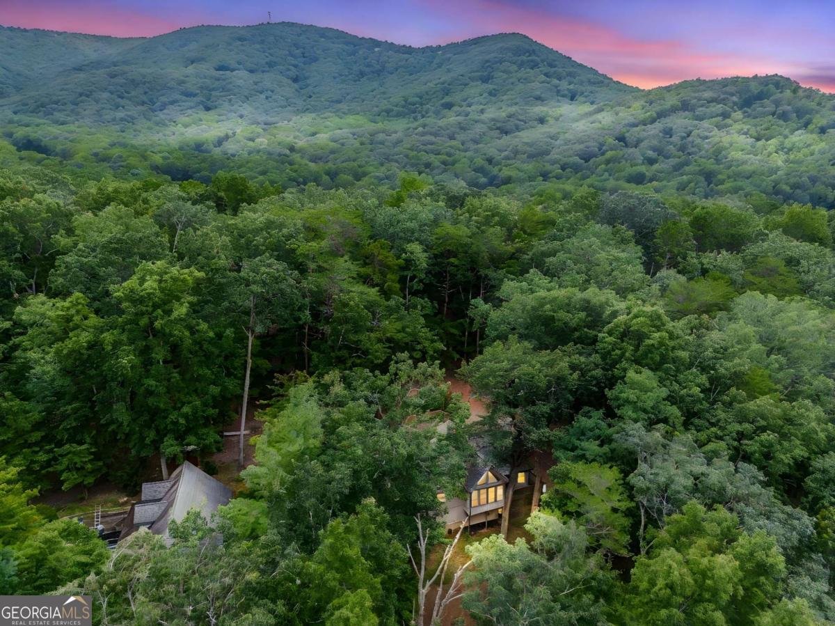 264 Fox Den Circle Jasper - 5