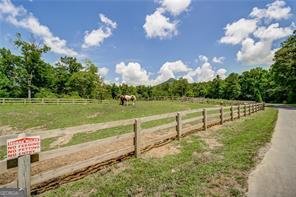 264 Fox Den Circle Jasper - 54