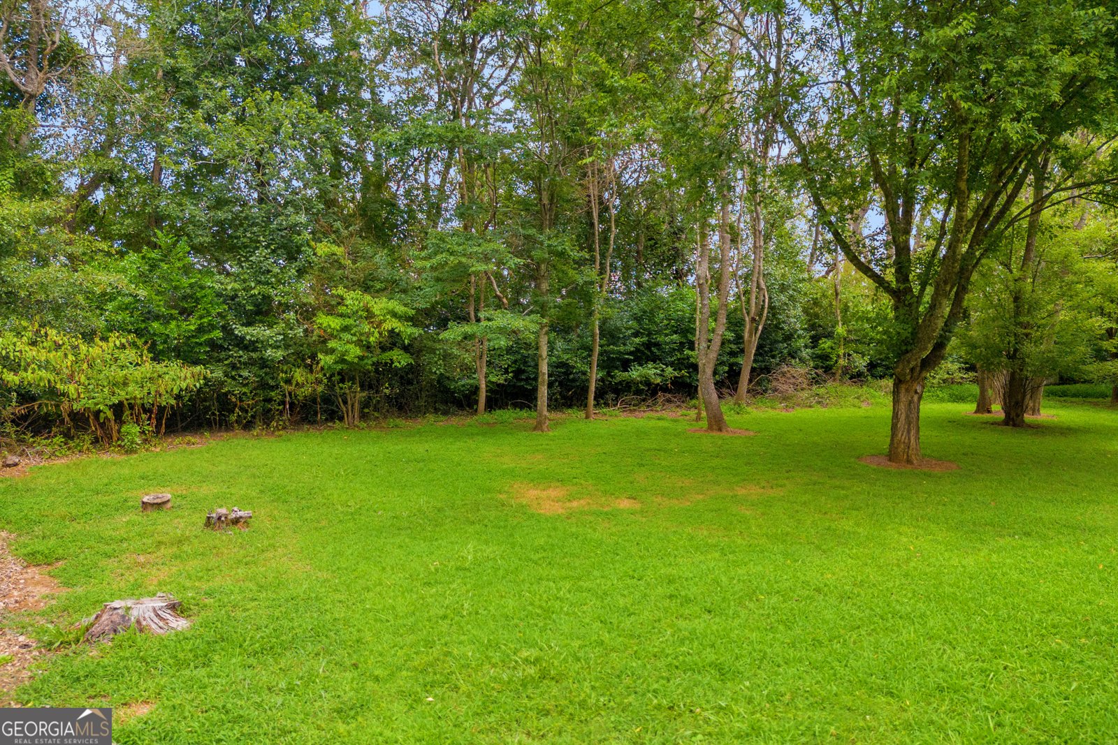 3046 Mill Falls Court Duluth - 51