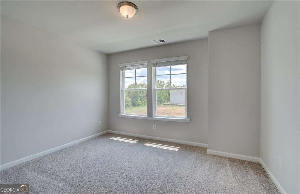 165 Homesite Chapel Hill Parkway Newnan - 18