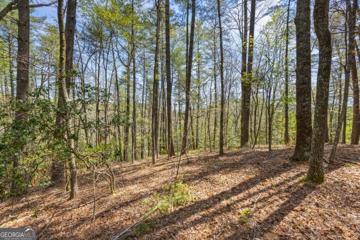 1243 Hooper Road Cleveland - 28