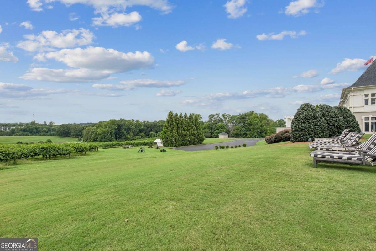 2230 Fleurie Lane Braselton - 39