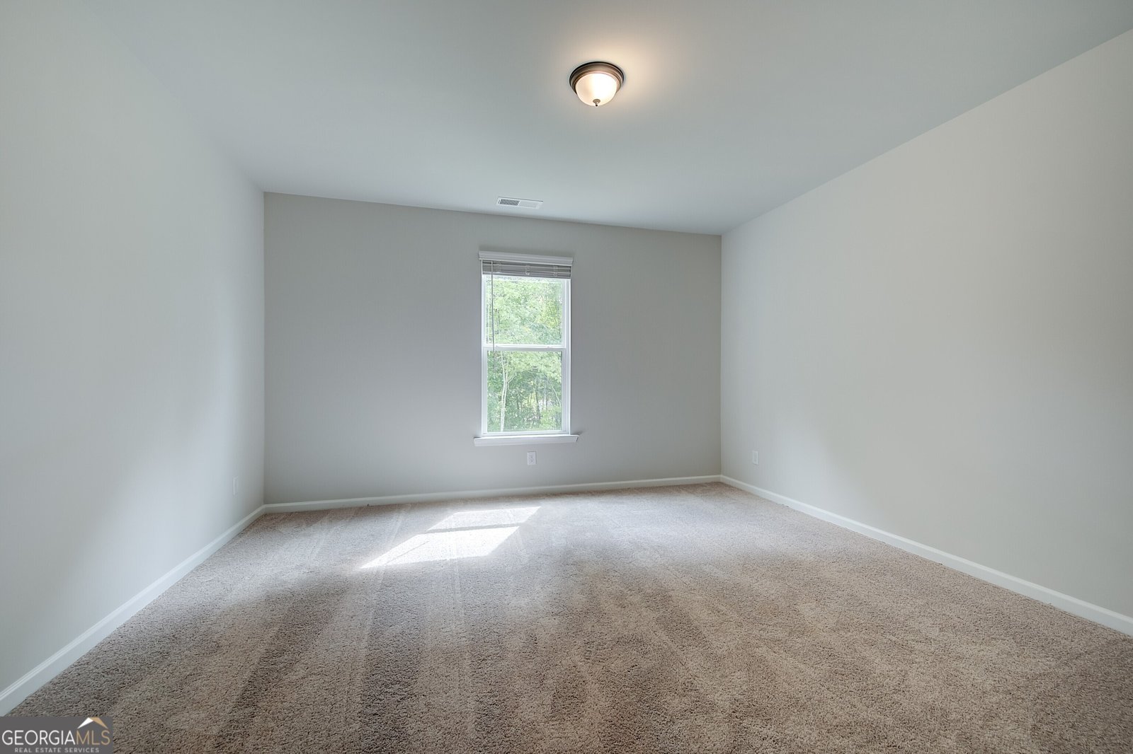 242 Linford Drive Locust Grove - 8