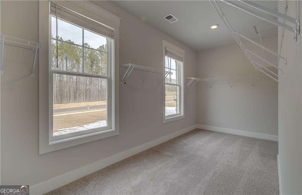 88 Slick Court Senoia - 2