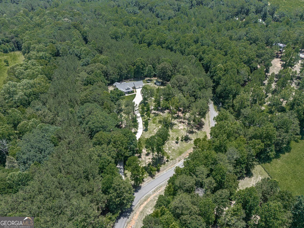 430 Cajun Drive Ellijay - 66