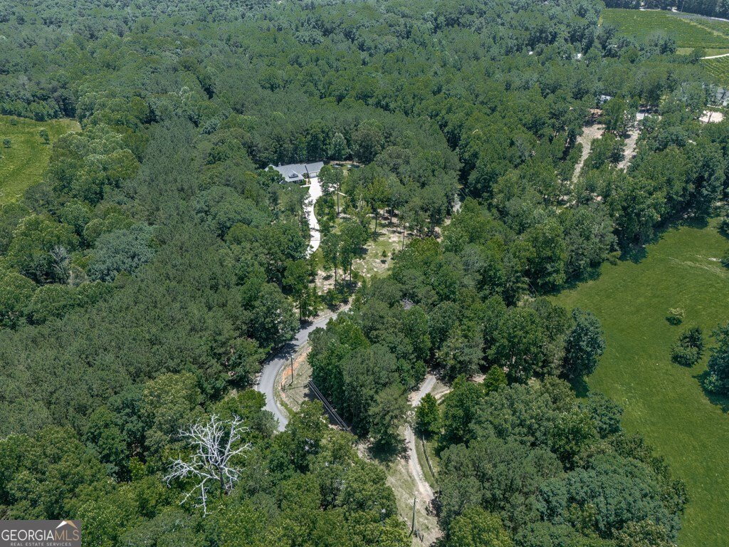 430 Cajun Drive Ellijay - 67