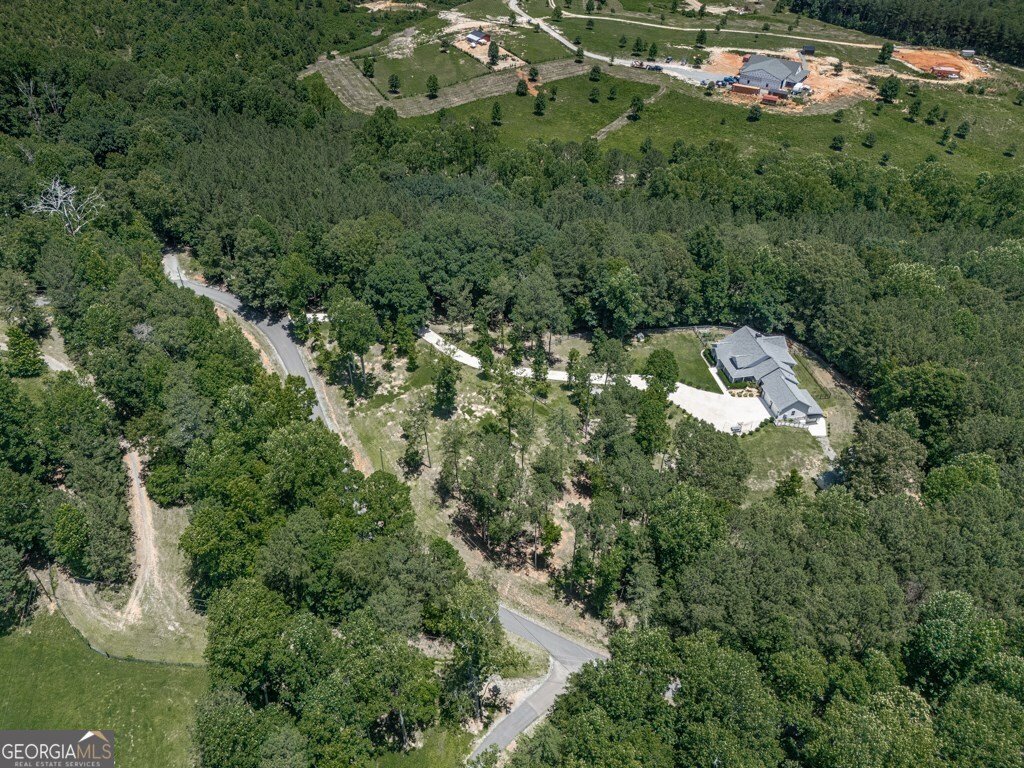 430 Cajun Drive Ellijay - 69