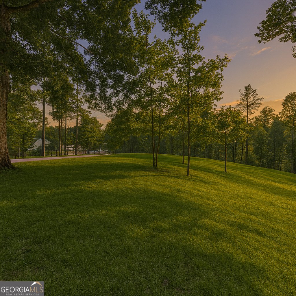 430 Cajun Drive Ellijay - 7
