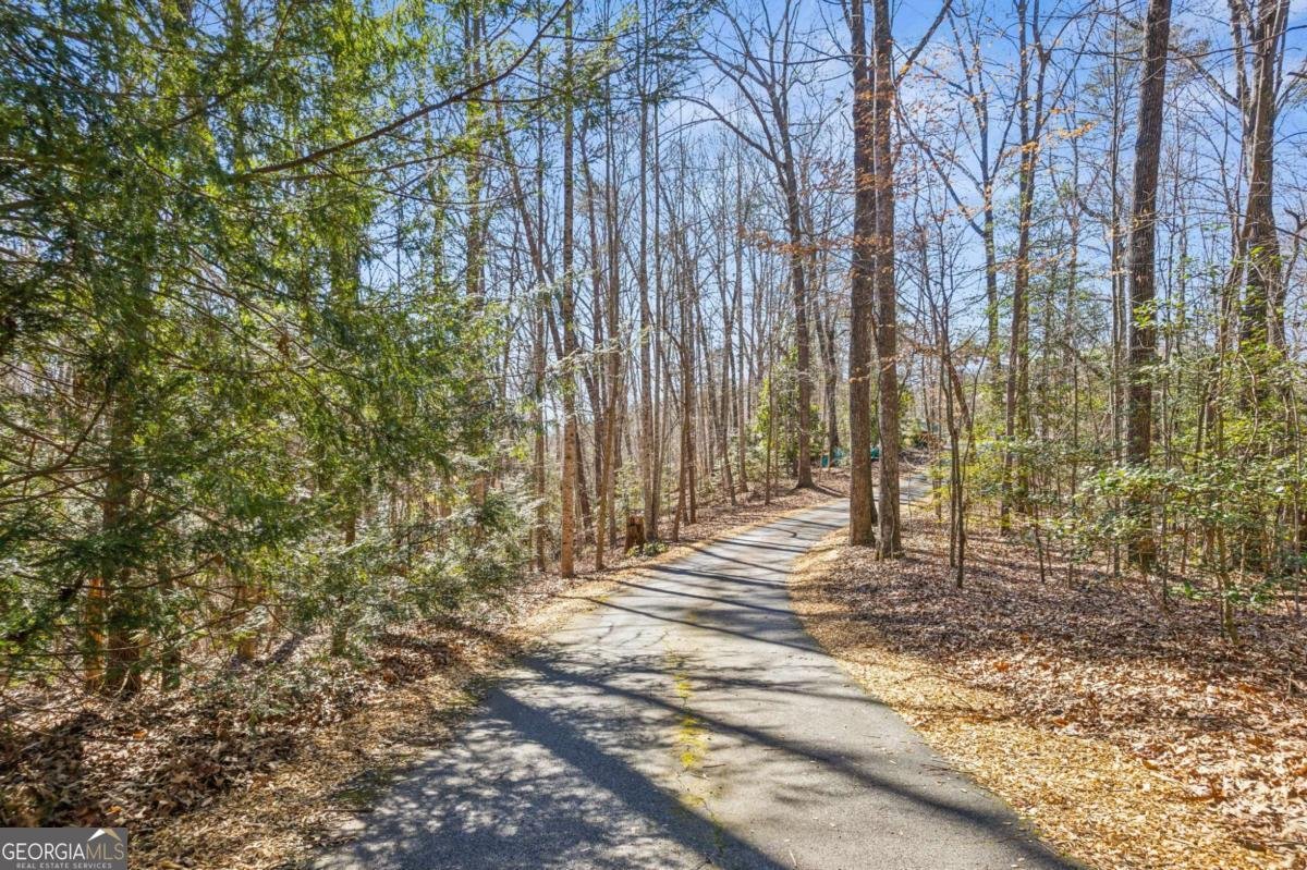 154 Hickory Lane Dahlonega - 56