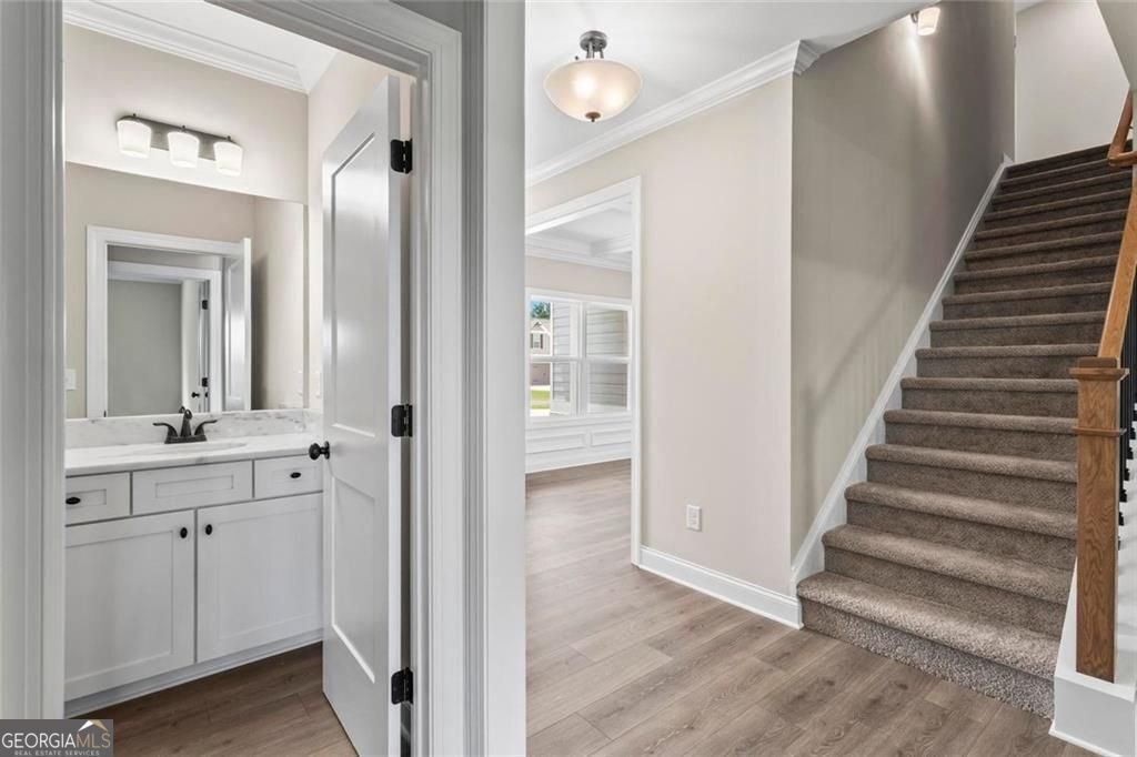 141 Randolph Farms Drive Dallas - 17