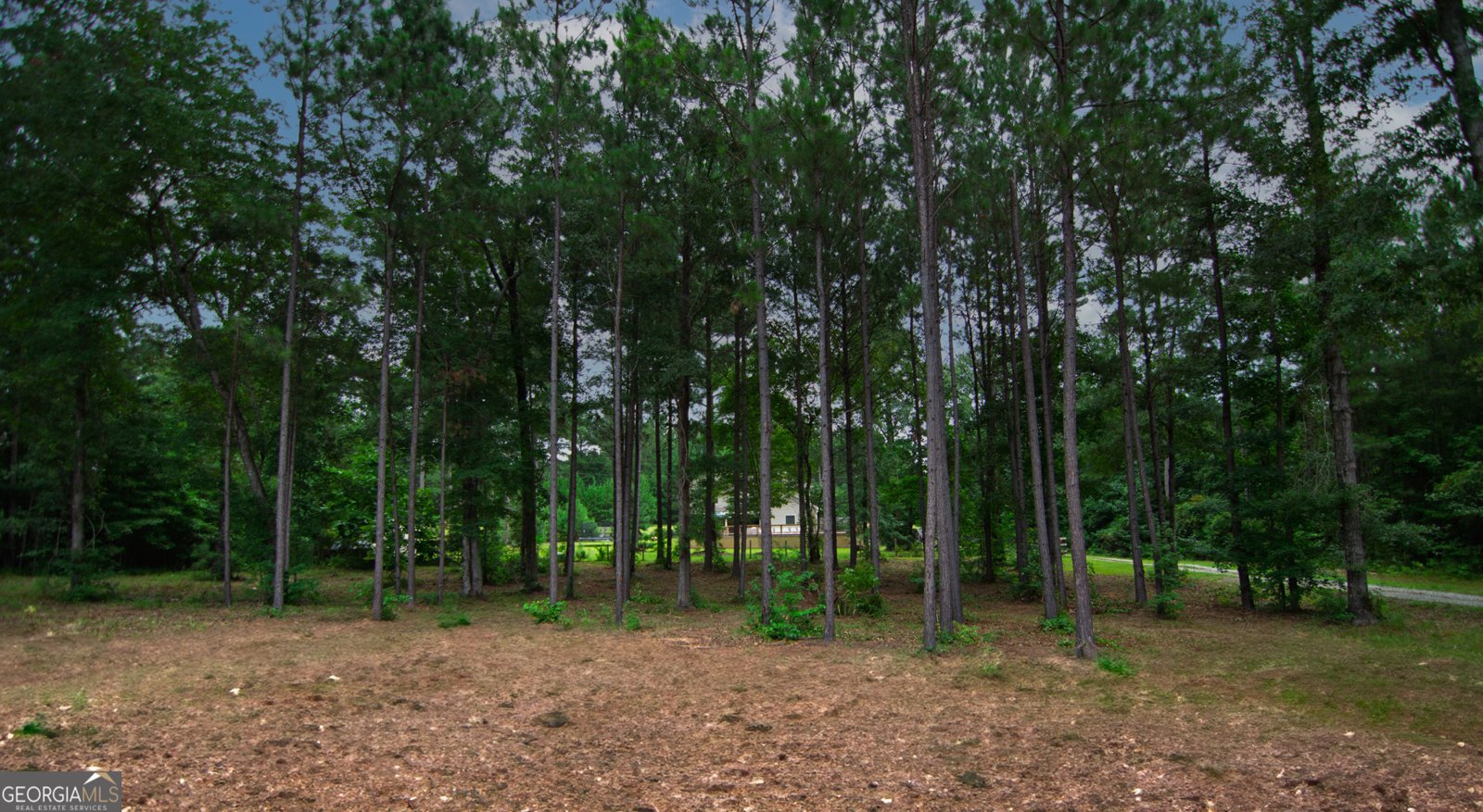 306 Voorhees Road Hamilton - 64