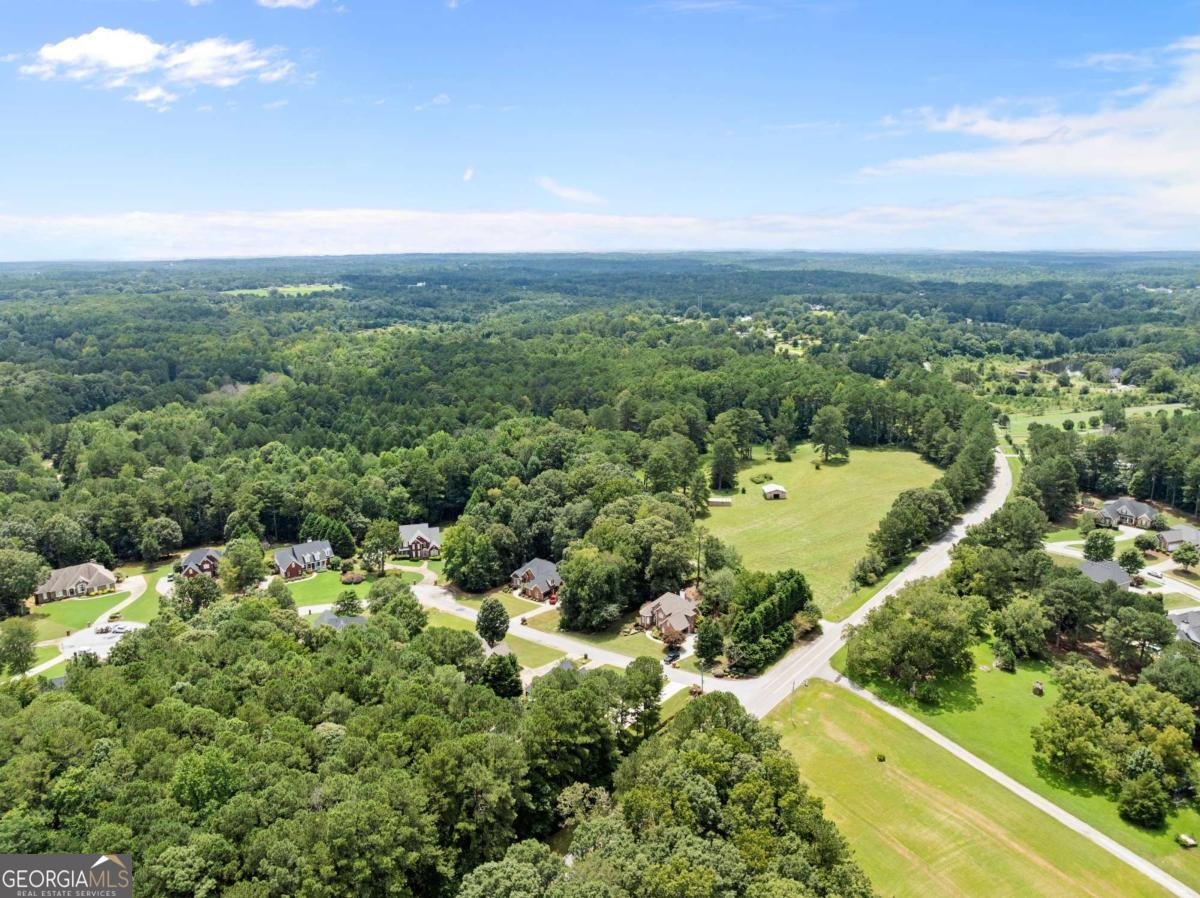 1504 Cleveland Court Loganville - 66