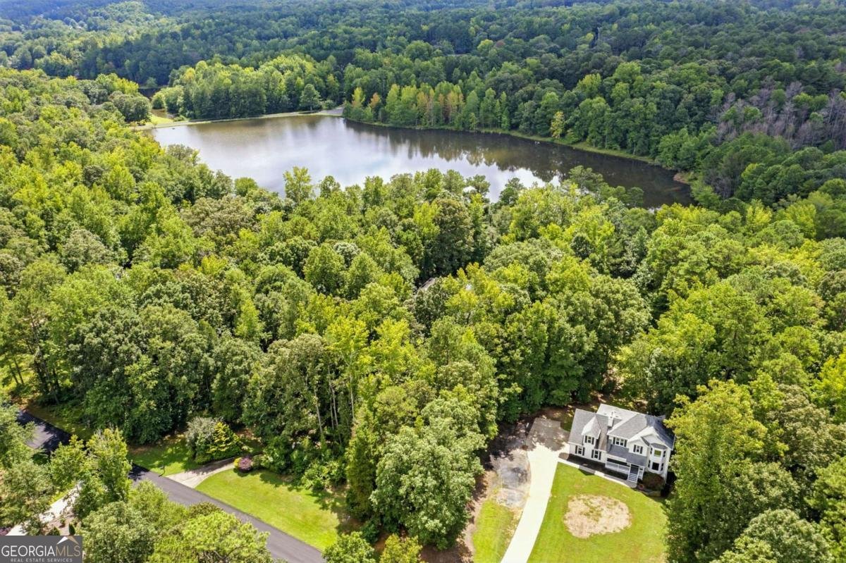 463 Black Forest Run Douglasville - 1
