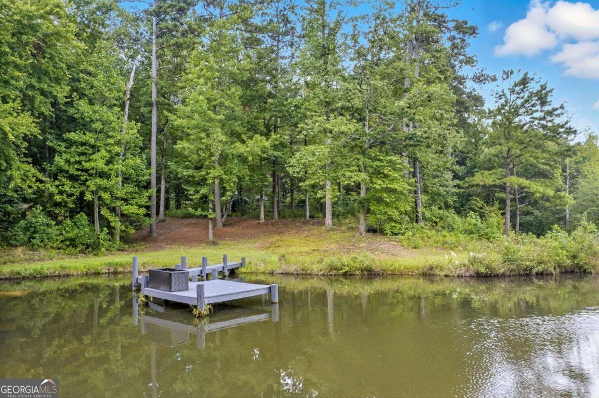 463 Black Forest Run Douglasville - 50