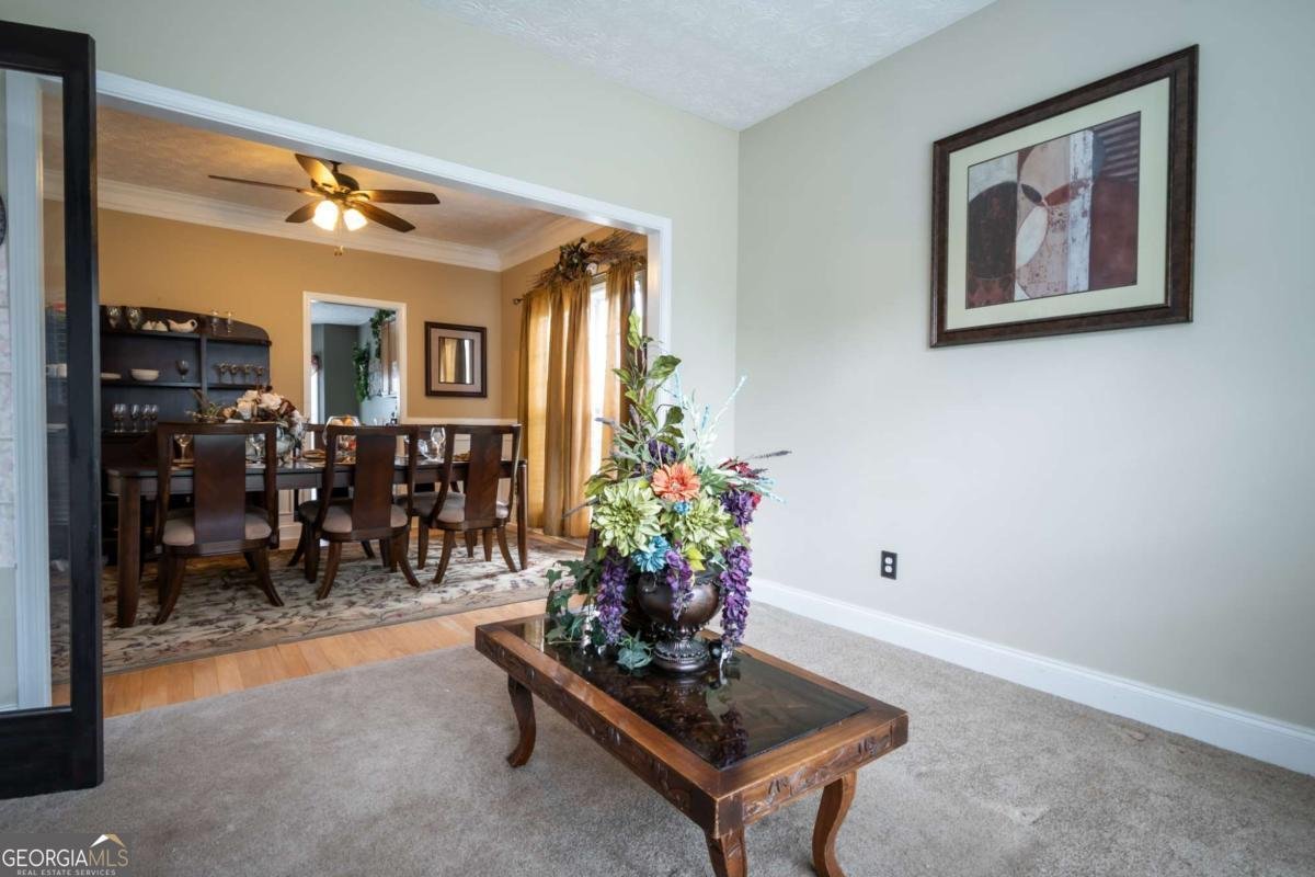 240 Bowden Lane Athens - 11